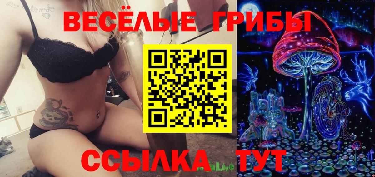 Псилоцибиновые грибы Magic Shrooms Борзя