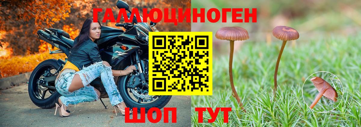 Борзя  Галлюциногенные грибы MAGIC MUSHROOMS  Вход с VPN  Галлюциногенные грибы ЛСД 