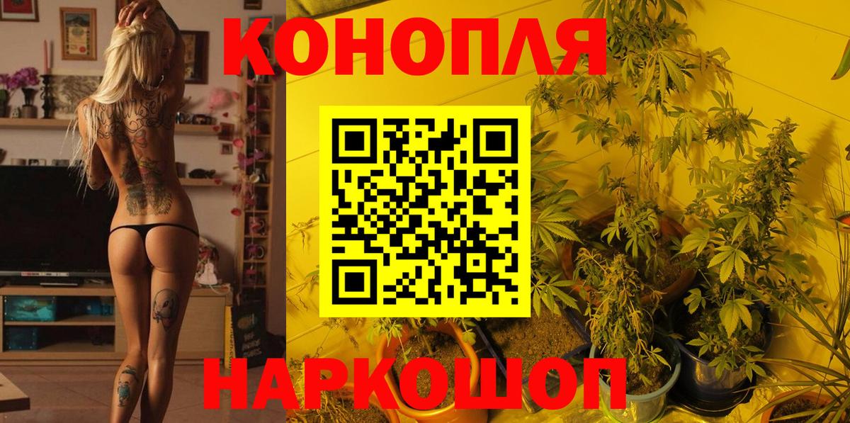Борзя  Канабис OG Kush  Каннабис MAZAR  Шишки марихуана конопля  Вход с VPN 